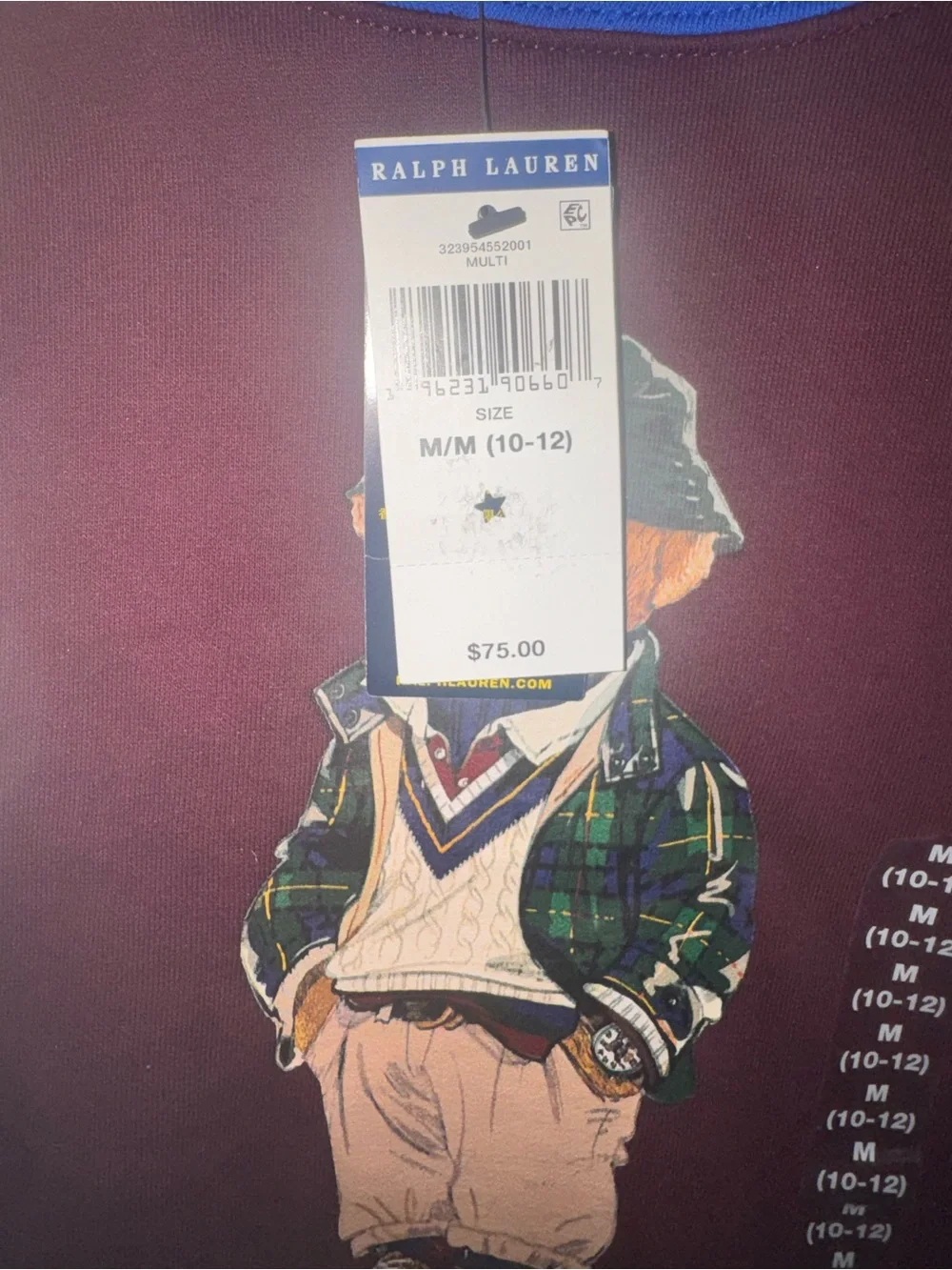 NWT, Boys POLO RALPH LAUREN Multicolor Polo Bear Hoodie. Size Medium (10-12)